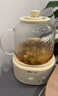 小熊（Bear）全玻璃养生壶 纯玻璃煮茶壶恒温壶 多功能炖煮花茶壶烧水壶 1.5L YSH-H15L2 实拍图