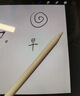 Apple/苹果 Pencil(第一代) 带USB-C转换器 触控笔手写笔苹果笔电容笔 适用部分iPad 11/Pro/Air机型 实拍图
