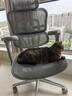 Ergonor保友金豪b雄鹰 人体工学椅 电脑椅 电竞椅办公椅子可躺老板椅 【金豪b雄鹰】银白网 实拍图