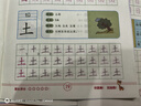 汉状元数字练字帖描红本3-6岁幼儿园字贴幼小衔接一日一练全套数字描红基础练字本学前班启蒙写字本 【推荐：全套12本】配8支铅笔+2个握笔器 实拍图