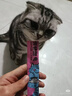 多特思猫零食猫条混合口味15g*100支0肉粉0诱食剂成幼猫咪鱼油罐头湿粮 实拍图