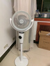 艾美特（AIRMATE）【小暴风PRO】空气循环扇家用大风力摇头电风扇卧室安静轻音小风扇桌面台式节能落地扇电扇 X231 实拍图