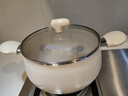 爱仕达（ASD）汤锅晶石不粘煮锅 陶瓷小奶锅 炖汤煮面辅食锅 22CM电磁炉通用T10 实拍图