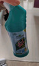 绿岛洁厕灵洁厕液500g 马桶清洁剂洁厕剂卫生间除臭垢厕所杀菌去异味 实拍图