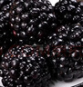 京鲜生 黑莓 2盒装 约110g/盒 新鲜水果 实拍图