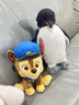 汪汪队立大功（PAW PATROL）毛绒玩具狗狗陪睡玩偶经典款阿奇小号坐姿男女孩儿童生日礼物 实拍图