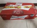 百威啤酒mini红罐淡色拉格255ml*24听小罐整箱装京东自营喜酒踏春送礼 实拍图
