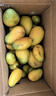 京喜加海南鲜芒果小台水果芒果新鲜上市 带箱6斤【单果90g以上】 实拍图