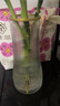 特大号玻璃花瓶桌面插花水养鲜花富贵竹高花瓶ins风客厅装饰摆件 【21高描金组合】锥桶水波+竖条 实拍图