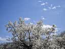 樱花（SAKURA）PIGMA笔酷马勾线笔5支装 美术绘画素描专营针管笔01 03 08 05 005 实拍图