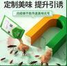 绿叶蟑螂药杀蟑饵剂20袋/盒杀蛮蠊灭蟑螂杀虫剂GL1045 实拍图