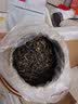 陈一凡金骏眉 茶叶特级正宗武夷山红茶浓香自饮送礼礼盒装500g 实拍图