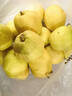 京鲜生 新疆库尔勒香梨 4.5斤装 特级 单果120g+ 生鲜水果 实拍图