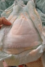 贝拉安徒生sofree牛奶裤夜用蛋黄裤 拉拉裤4XL码40片(15kg以上）超薄透气 实拍图
