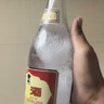 汾酒 黄盖玻汾 清香型白酒 53度 475mL*6瓶整箱 年份随机 实拍图