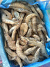 鲜京采 50/60厄瓜多尔白虾 去冰净重3.3斤 82-99只/盒  实拍图