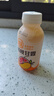 清蓝 杨枝甘露300ml*8瓶 椰果西米芒果西柚水果饮料复合果汁港式饮品 实拍图