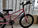 途锐达京东自营超轻自行车儿童6-12岁女孩单车小学生元旦礼物蜂鸟20寸粉 实拍图