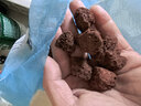 松宝（sobo）火山石鱼缸造景底砂养龟过滤材养鱼缸铺底装饰颗粒 2.5kg 实拍图