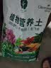 漫生活16L进口营养土通用型 种菜土养花土进口泥炭土椰糠花卉有机土壤 实拍图