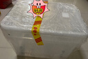禧天龙塑料衣物收纳箱玩具整理箱车载储物箱55L 透明 1个装 带轮 实拍图