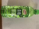 达利园青梅绿茶青梅果汁饮品果味茶饮料500ml*15瓶春游酸甜饮料整箱装 实拍图