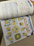 漫画语法提前学200问 小学初中英语基础知识情景图解常考必考知识点小升初语法一本通阅读理解专项训练 实拍图