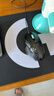罗技（Logitech）K848机械键盘G502HERO有线客制化ai全键热插拔游戏电竞电脑办公键盘鼠标套装 K848+G502HERO键鼠套装 实拍图
