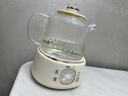 小熊（Bear）全玻璃养生壶 纯玻璃多功能恒温烧水壶煮水壶 办公室轻音炖煮茶壶 1L YSH-J10D1  实拍图