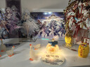 赟娅萌宠水晶石摆件办公室桌面工位可爱治愈装饰品生日新年礼物送女友 猫猫水晶盲盒单个 实拍图