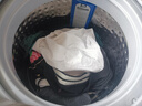 志高（CHIGO）全自动洗衣机 家用小型波轮 洗脱一体机大容量 公寓宿舍出租房 咖啡金 波轮 7.5kg 【蓝光洗护+风干洁桶+强电机】 实拍图
