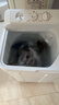 统帅（Leader）海尔出品 波轮洗衣机 双桶半自动双缸 10公斤家用 京东自营以旧换新家电补贴TPB100-1188BS 实拍图