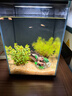 米家智能桌面鱼缸小米生态鱼缸小型智能专业背滤一体缸自循环 实拍图