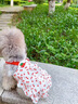 阿莫尔猫咪衣服夏天薄款甜美连衣裙防掉毛布偶金渐层狗狗衣服吊带蛋糕裙 樱桃蛋糕裙【透气柔软】 XS（建议1-3斤 参考胸围背长） 实拍图