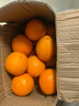 玖原农珍 秭归伦晚脐橙新鲜橙子含箱10斤净重9斤优选果150-300g 水果礼盒 实拍图