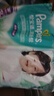 帮宝适超薄透气清新帮拉拉裤新生儿婴儿尿不湿尿片透氧Pro XL62 实拍图