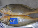 三都港 冷冻黄花鱼700g/2条装 宁德大黄鱼 深海鱼 生鲜 鱼类 海鲜水产 实拍图