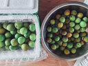 志褚 新鲜青梅鲜果 高山福建诏安青梅果鲜酸脆梅子泡酒青梅酵素 青梅【大果5斤】 实拍图