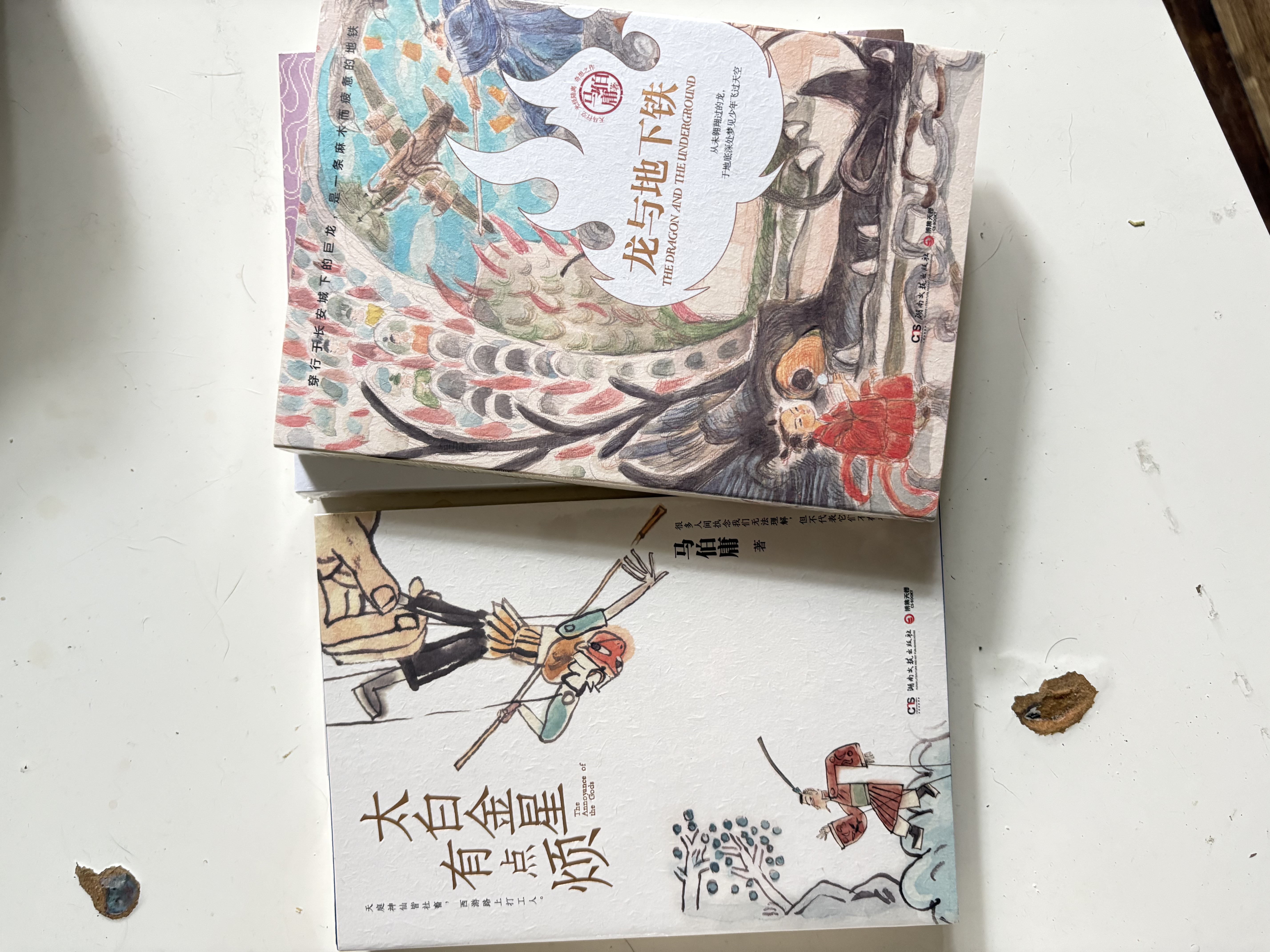 长安的荔枝+太白金星有点烦+龙与地下铁2023新版 小说 马伯庸精选“长安新鲜事”套装（全三册）： 实拍图