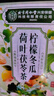 同仁堂冬瓜荷叶茶减肥减脂肚子排油减肥瘦身排油不反弹养生茶1盒 实拍图