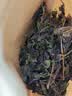 养益君紫苏叶300g 紫苏叶茶紫苏饮 干紫苏籽子叶 精选好货 花草茶叶泡水 实拍图
