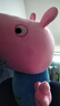 小猪佩奇毛绒玩具大号玩偶卡通睡觉抱枕公仔布娃娃生日礼物 实拍图
