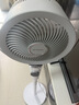 艾美特（AIRMATE）【小暴风PRO】空气循环扇家用大风力摇头电风扇卧室安静轻音小风扇桌面台式节能落地扇电扇 X231 实拍图