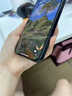 笛曼【超德国莱茵护眼膜】苹果17promax手机膜iphone16pro钢化膜iphone17保护膜新款无尘仓防蓝光防摔 【2套装】超越AR深度护眼丨德国进口丨增透画质 iPhone 17 pro 实拍图