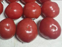 京鲜生 山东普罗旺斯番茄 净重4.5斤 单果125g+ 沙瓤西红柿 源头直发 实拍图
