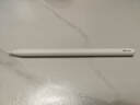 Apple/苹果 Pencil(USB-C) 磁吸触控笔手写笔苹果笔电容笔ipad笔 适用iPad 11/mini/Pro/Air 实拍图