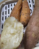 佳农宝菜哈密白心红薯哈密冰糖蜜薯单果约100g+净重3斤源头直发 实拍图