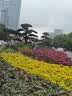 盈喜客一次性纸碗泡面碗筷套装打包食品级家用环保圆形快餐饭盒餐盒批发 【本色碗】650ml 100只（无盖） 实拍图