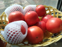 京鲜生山东安特莱斯粉番茄 净重4.5斤 单果120g+ 自然熟西红柿 源头直发 实拍图