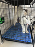 腆宠狗笼狗窝狗笼子大型犬中小型犬带厕所加粗方管家用宠物笼子围栏 实拍图